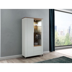Moon A Vitrine
