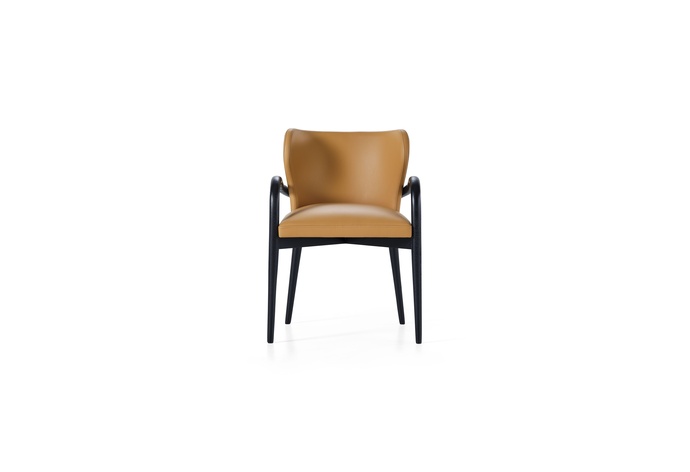 Aida Dining Chair